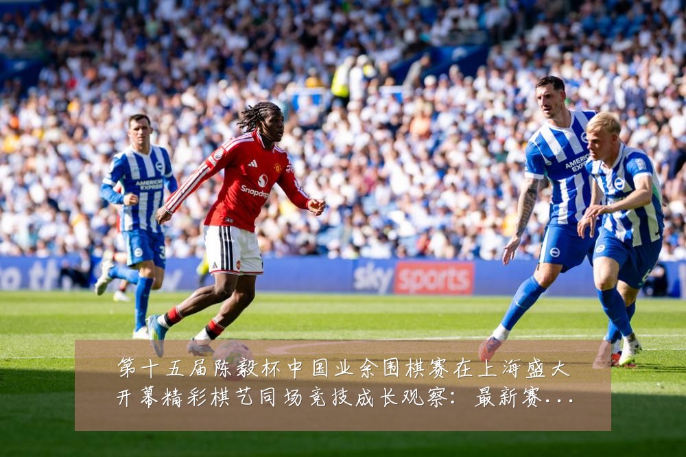 第十五届陈毅杯中国业余围棋赛在上海盛大开幕精彩棋艺同场竞技成长观察:最新赛事动态与深度分析